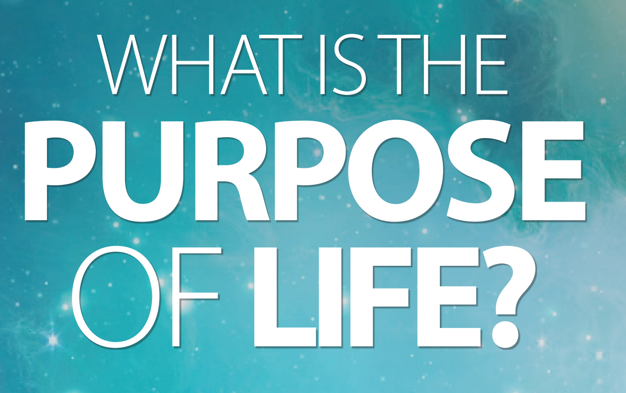 Read more about the article What is the Purpose of Life?