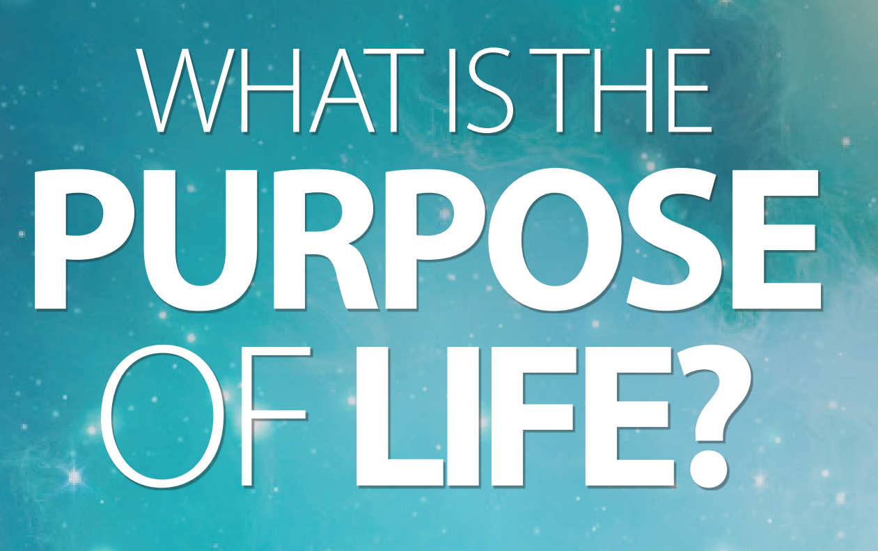 what is the purpose of life